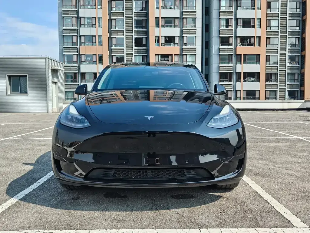 Tesla Model Y — фото 6