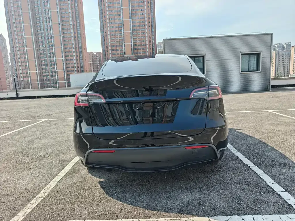 Tesla Model Y — фото 10