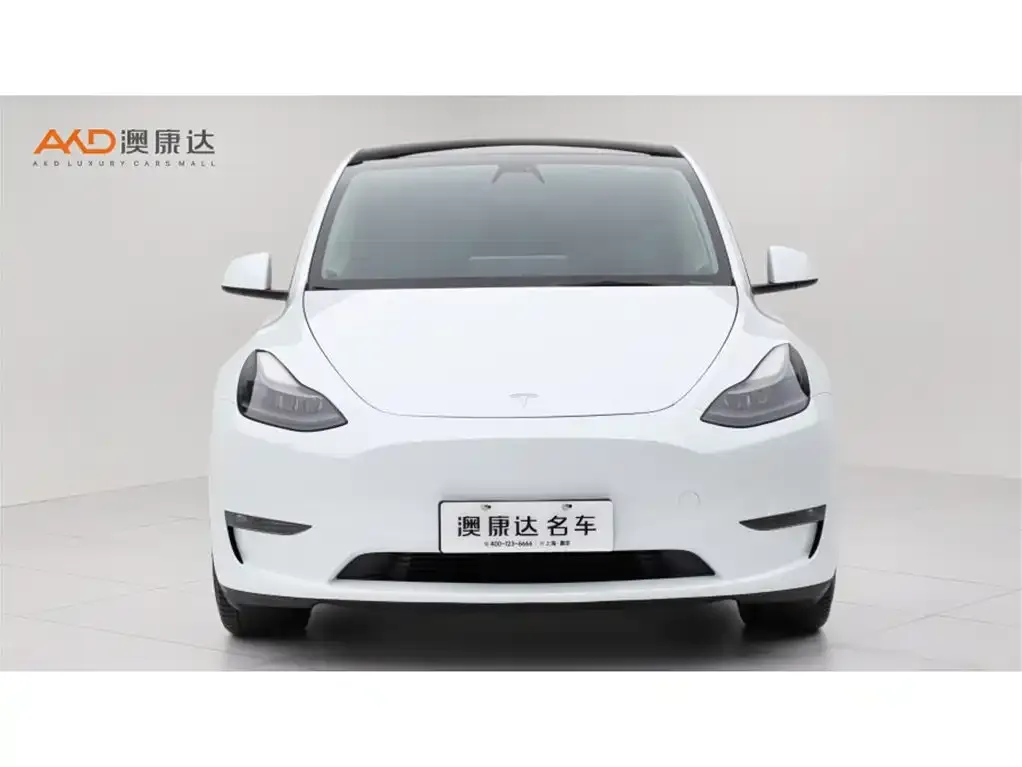 Tesla Model Y — фото 5