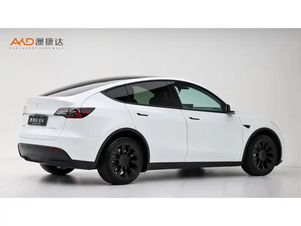 Tesla Model Y — фото 10