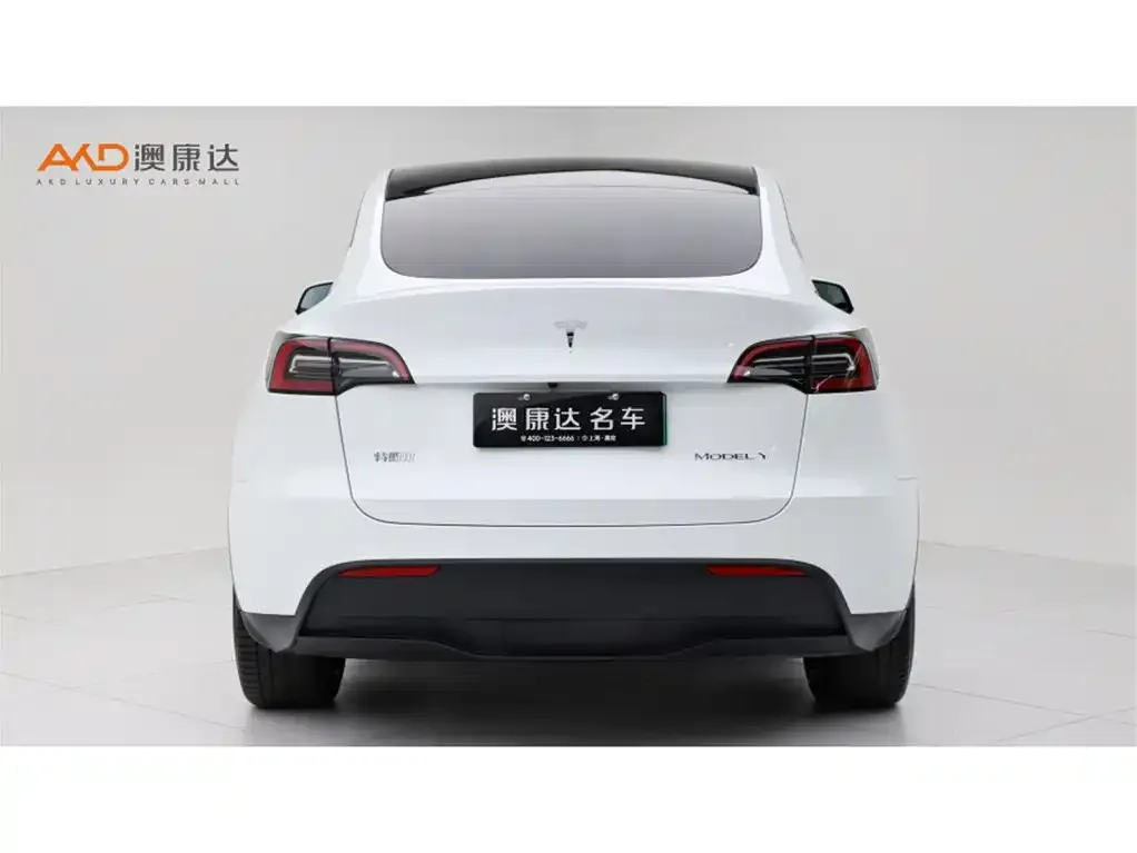 Tesla Model Y — фото 2