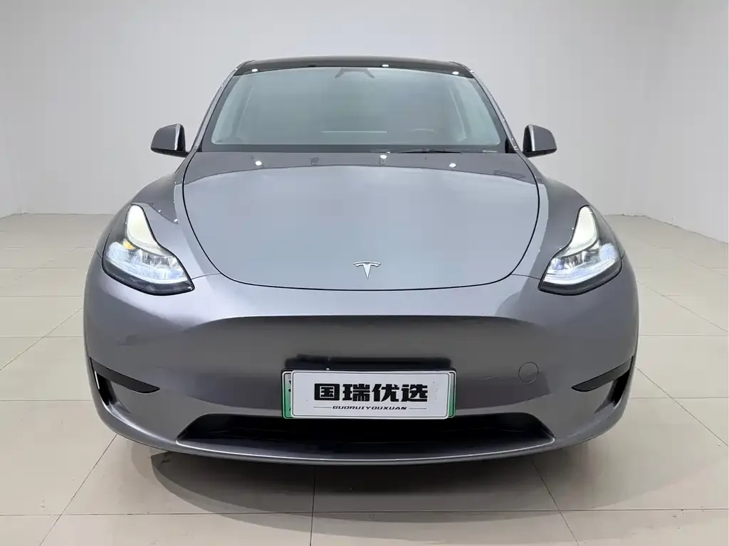 Tesla Model Y — фото 9