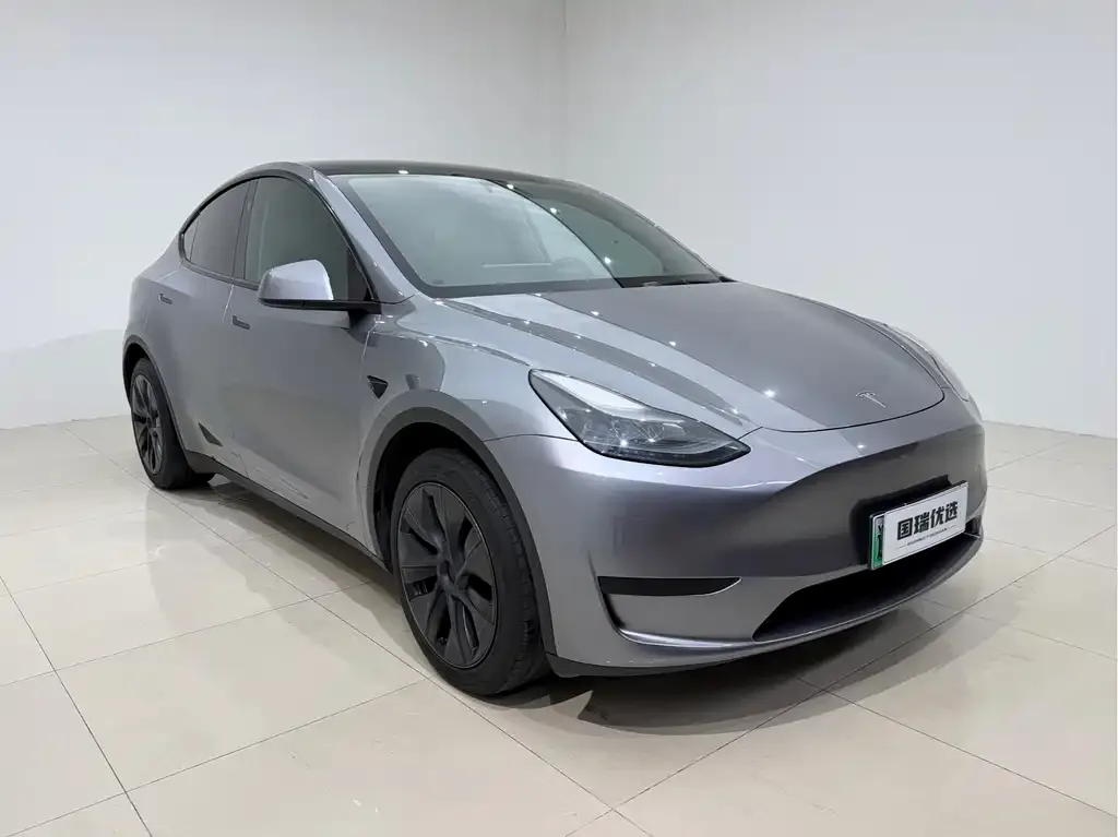 Tesla Model Y — фото 2