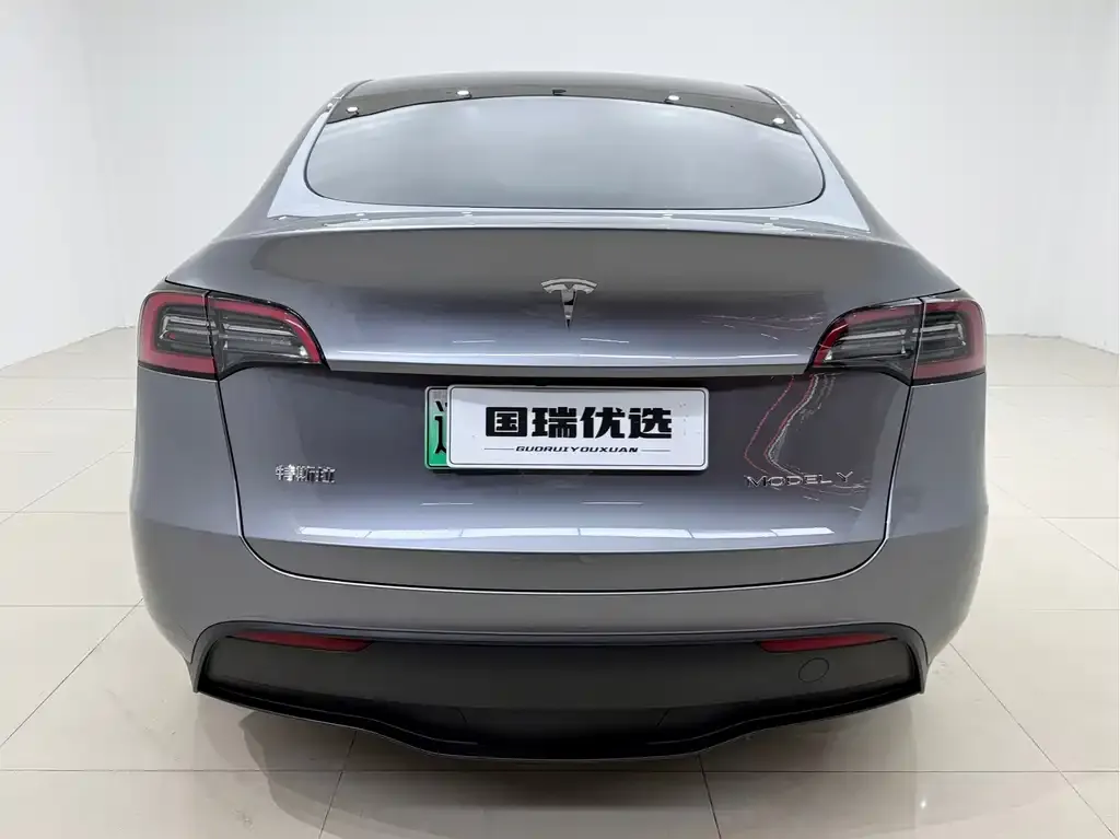 Tesla Model Y — фото 10