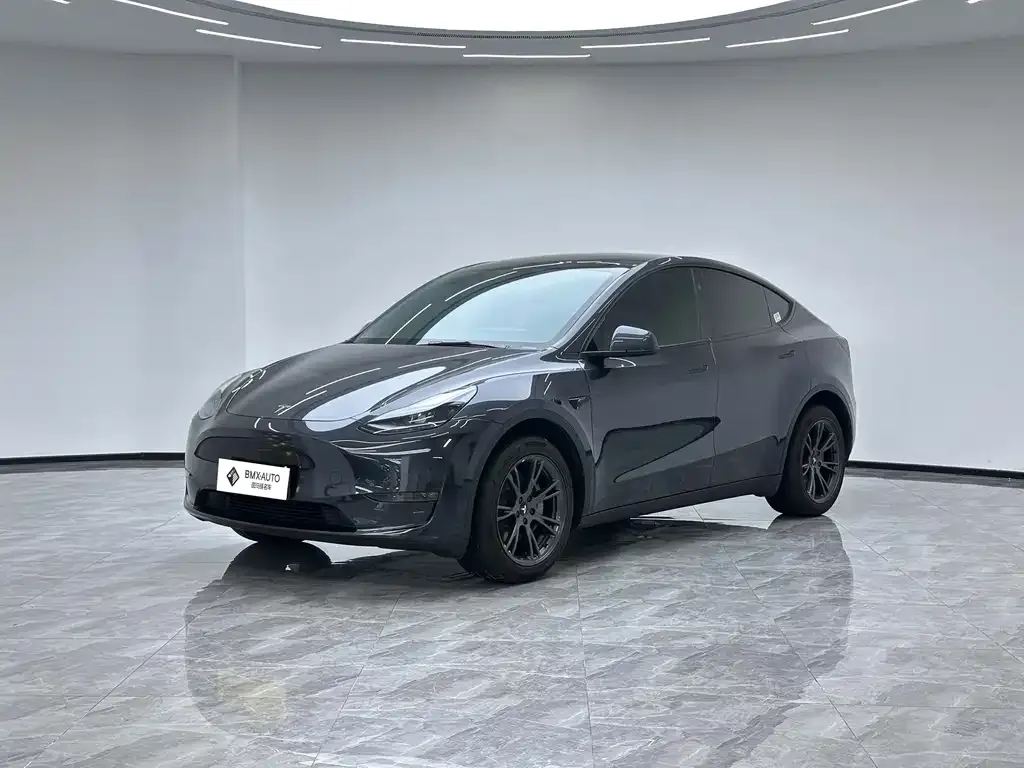 Tesla Model Y — фото 1