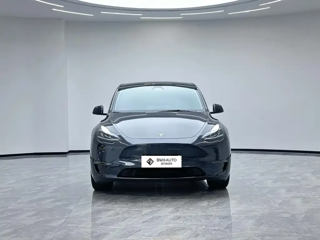 Tesla Model Y — фото 7