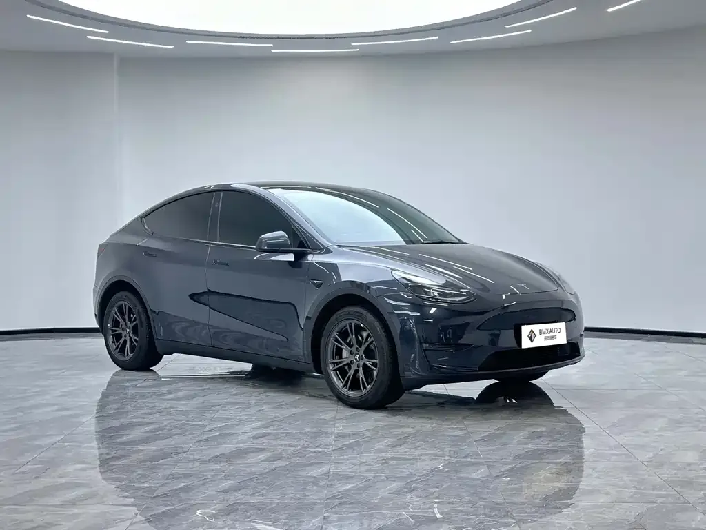 Tesla Model Y — фото 5