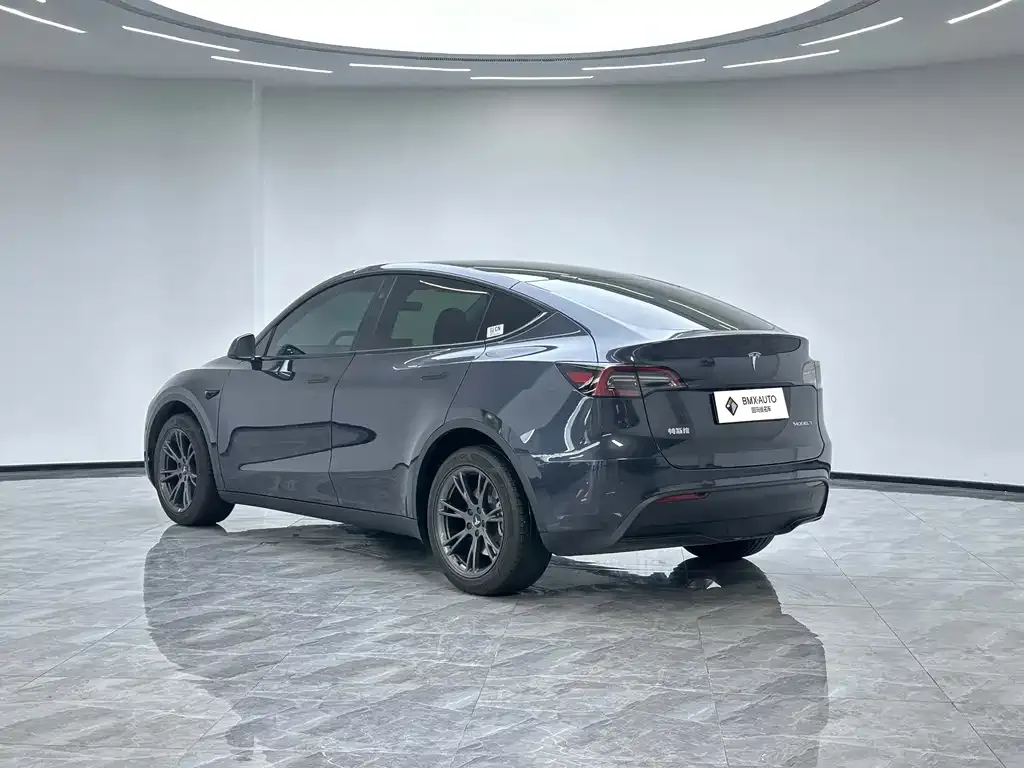 Tesla Model Y — фото 10