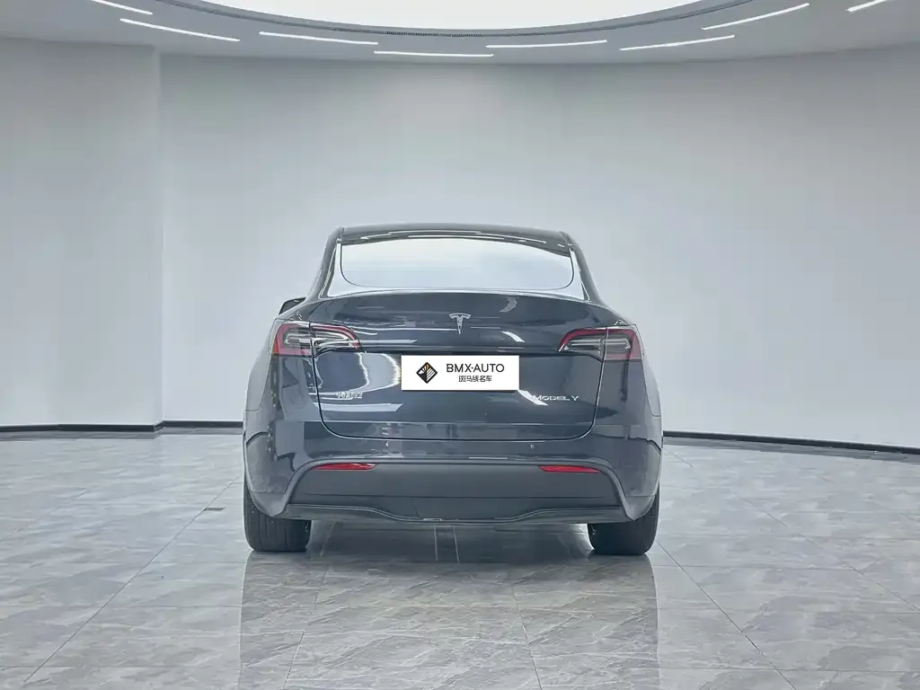 Tesla Model Y — фото 2