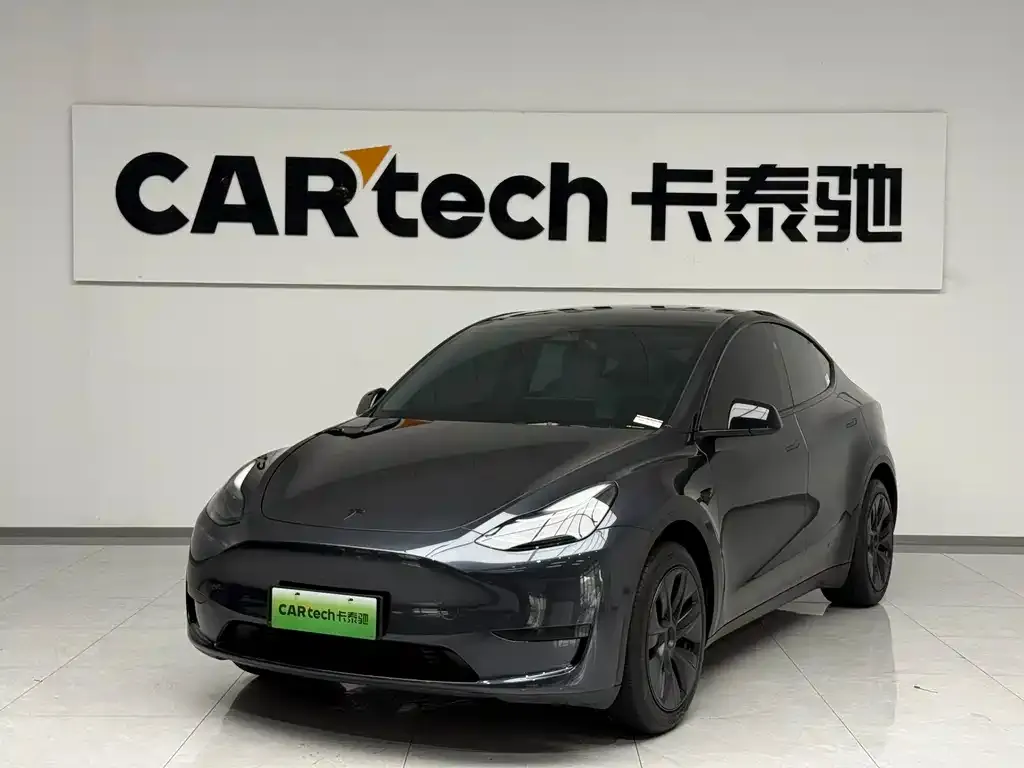 Tesla Model Y — фото 1