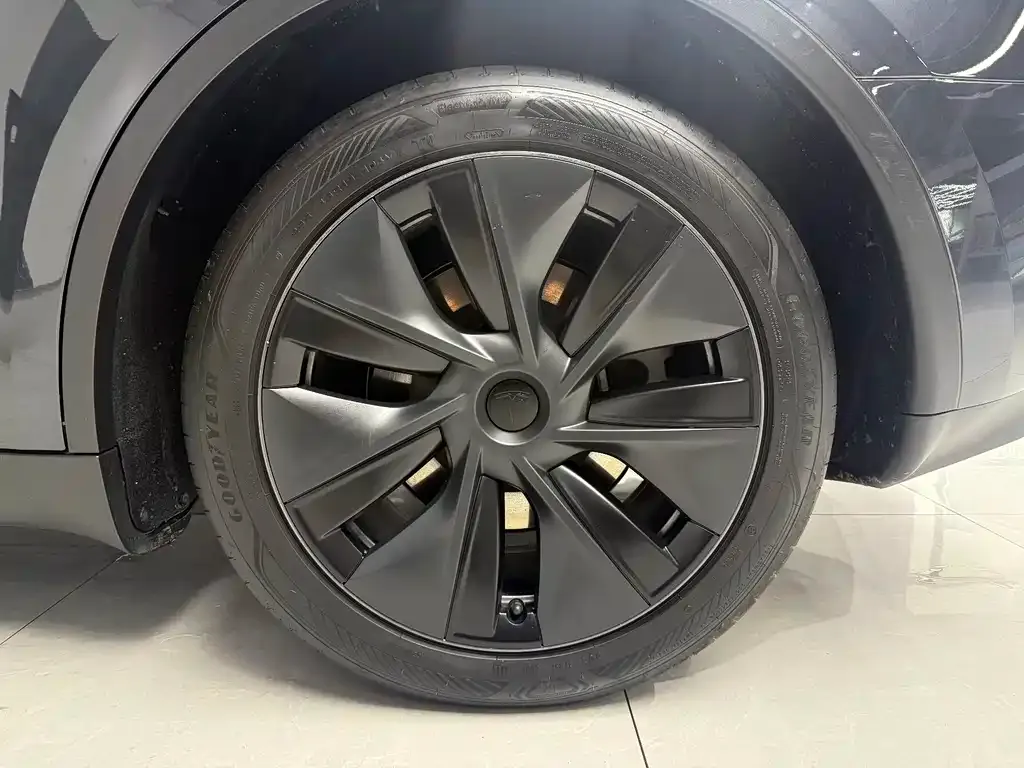 Tesla Model Y — фото 9