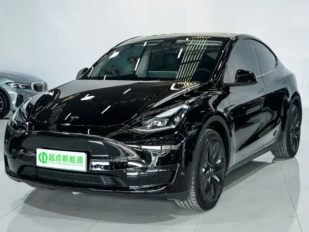 Tesla Model Y — фото 1