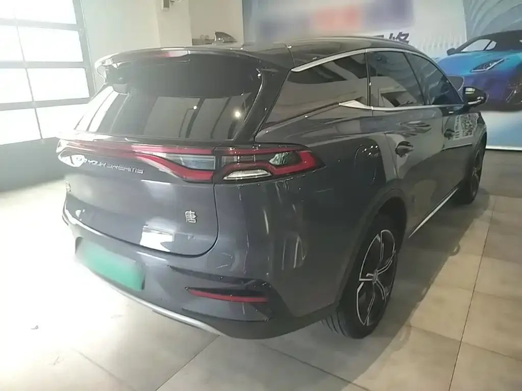BYD Tang New Energy — фото 2