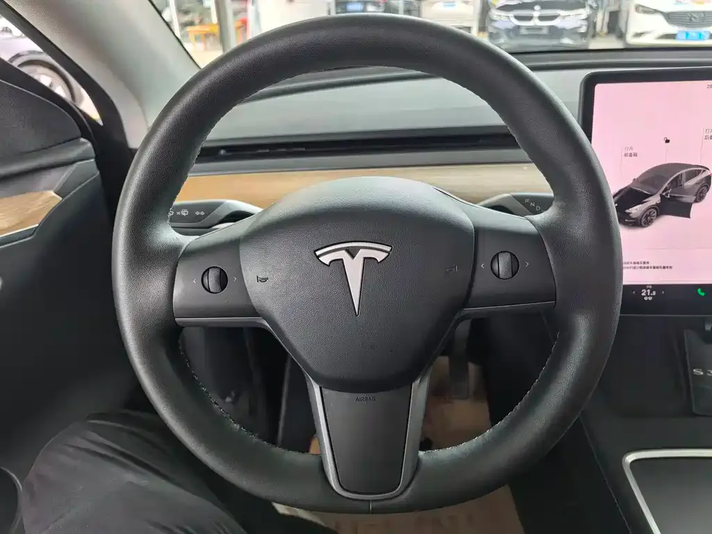 Tesla Model Y — фото 9