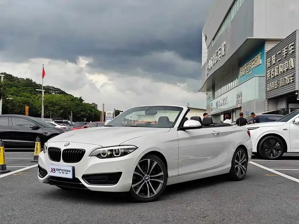 BMW 2 Series (Import) — фото 1