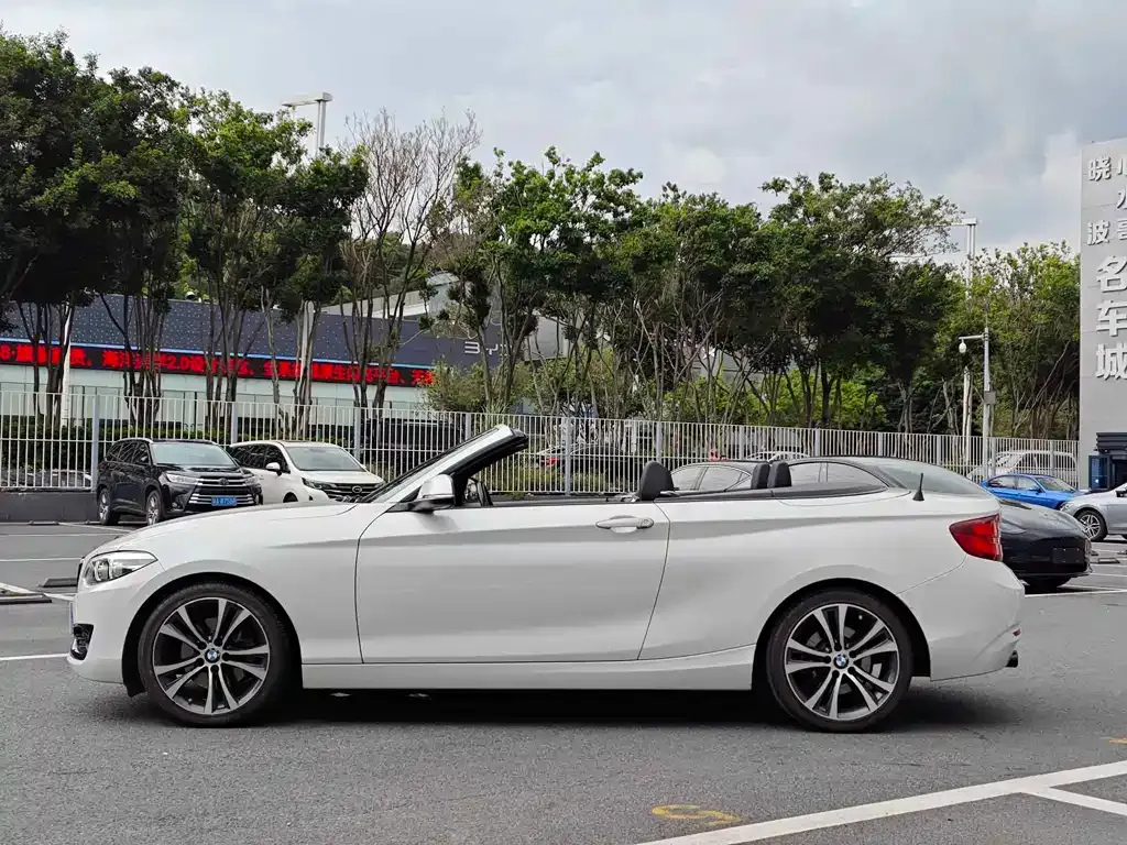 BMW 2 Series (Import) — фото 9