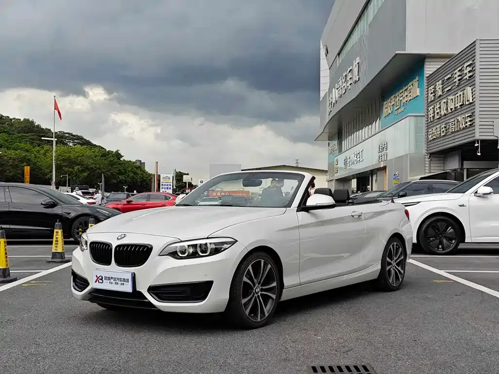 BMW 2 Series (Import) — фото 6
