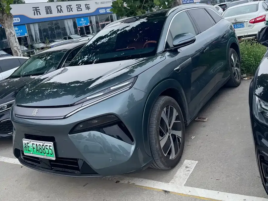 BYD Tang L — фото 1