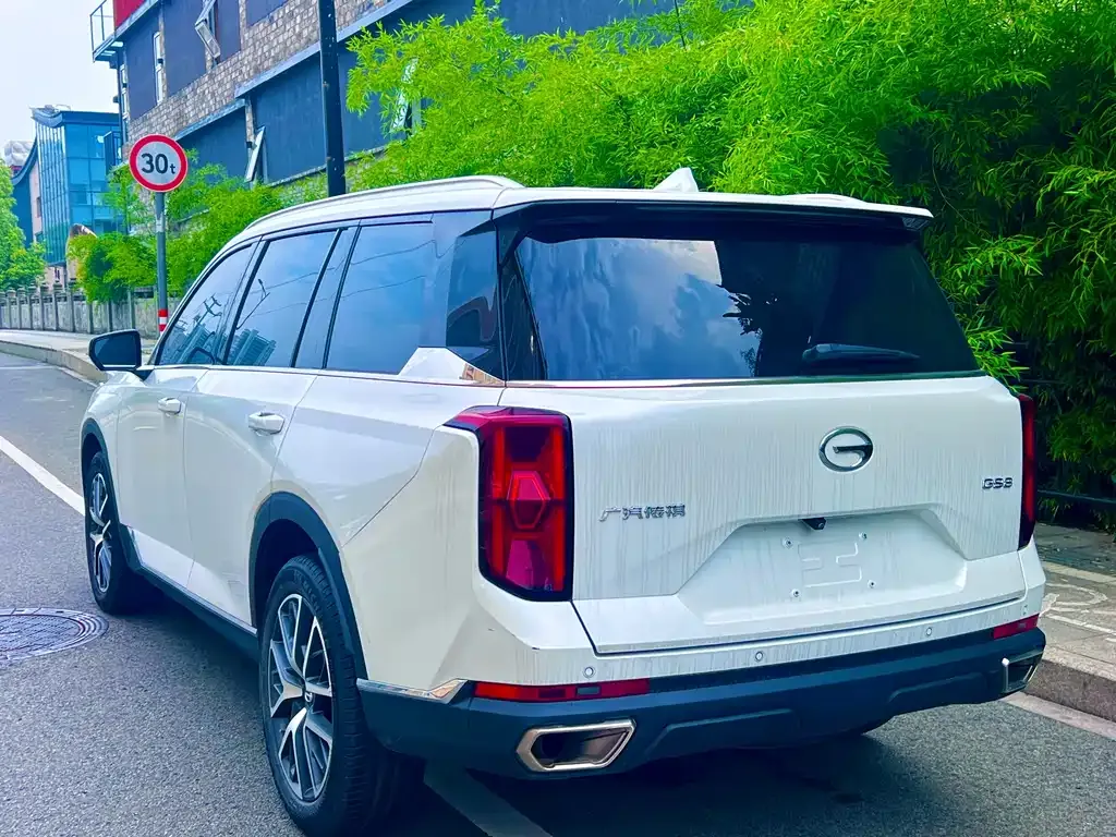GAC Motor Trumpchi GS8 — фото 10