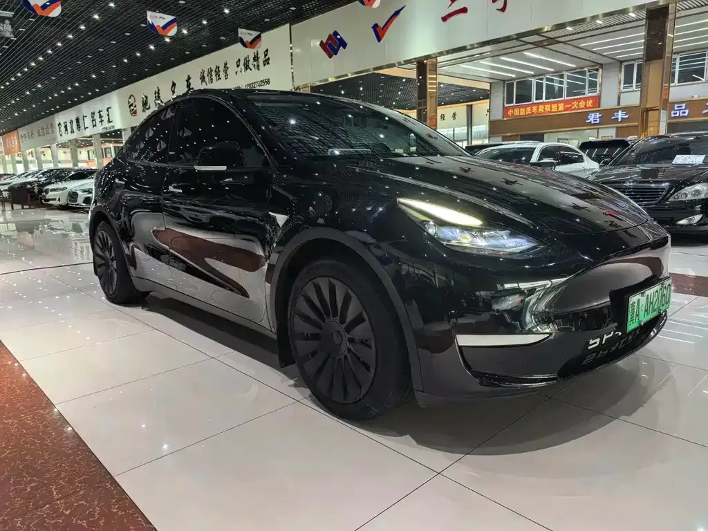 Tesla Model Y — фото 9