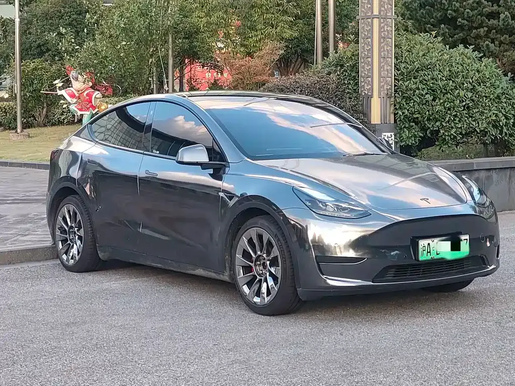 Tesla Model Y — фото 10