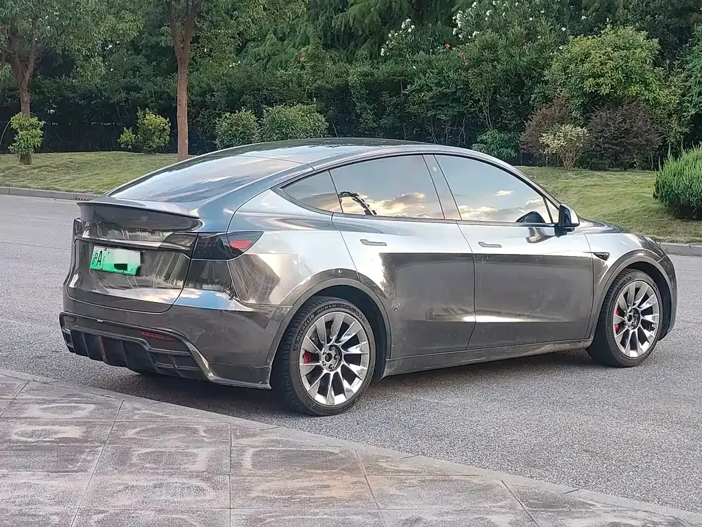 Tesla Model Y — фото 3