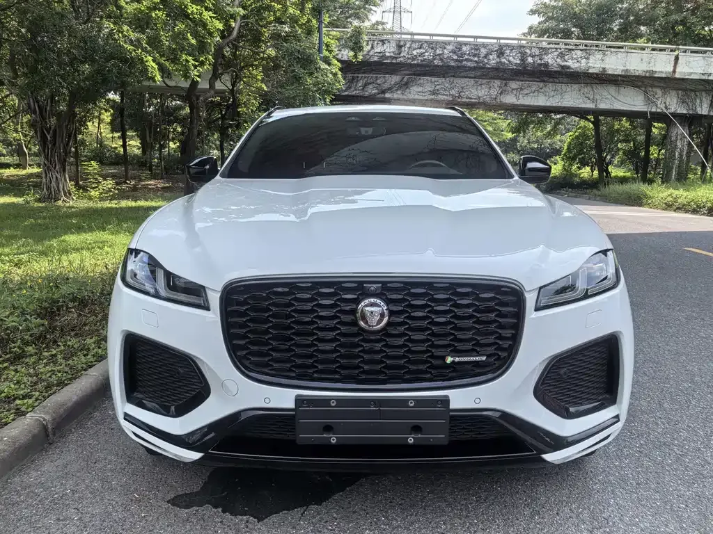 Jaguar F-PACE — фото 8