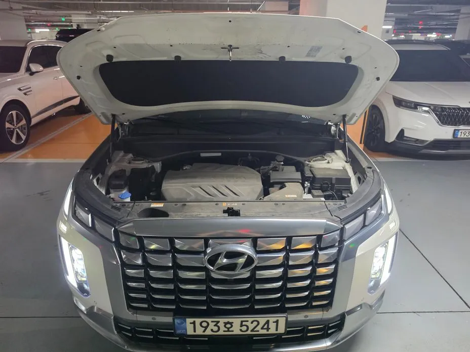 Hyundai Palisade — фото 10