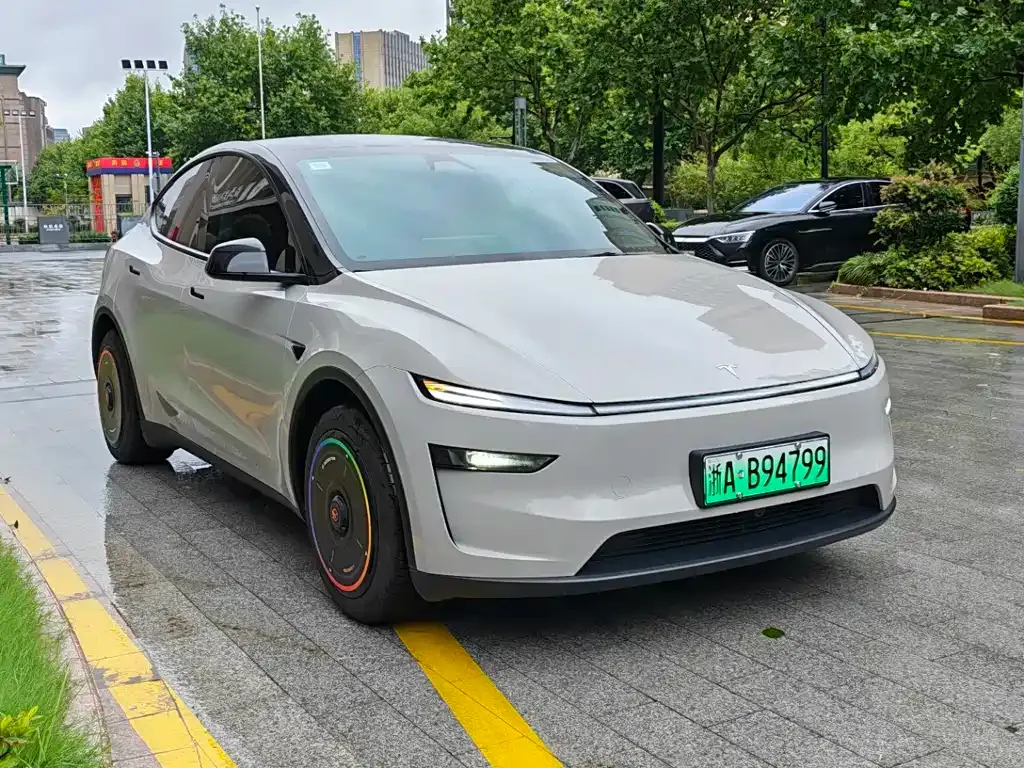 Tesla Model Y — фото 8