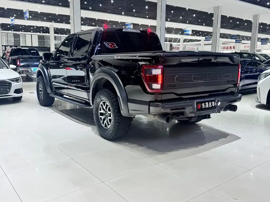 Ford F-150 Raptor — фото 3