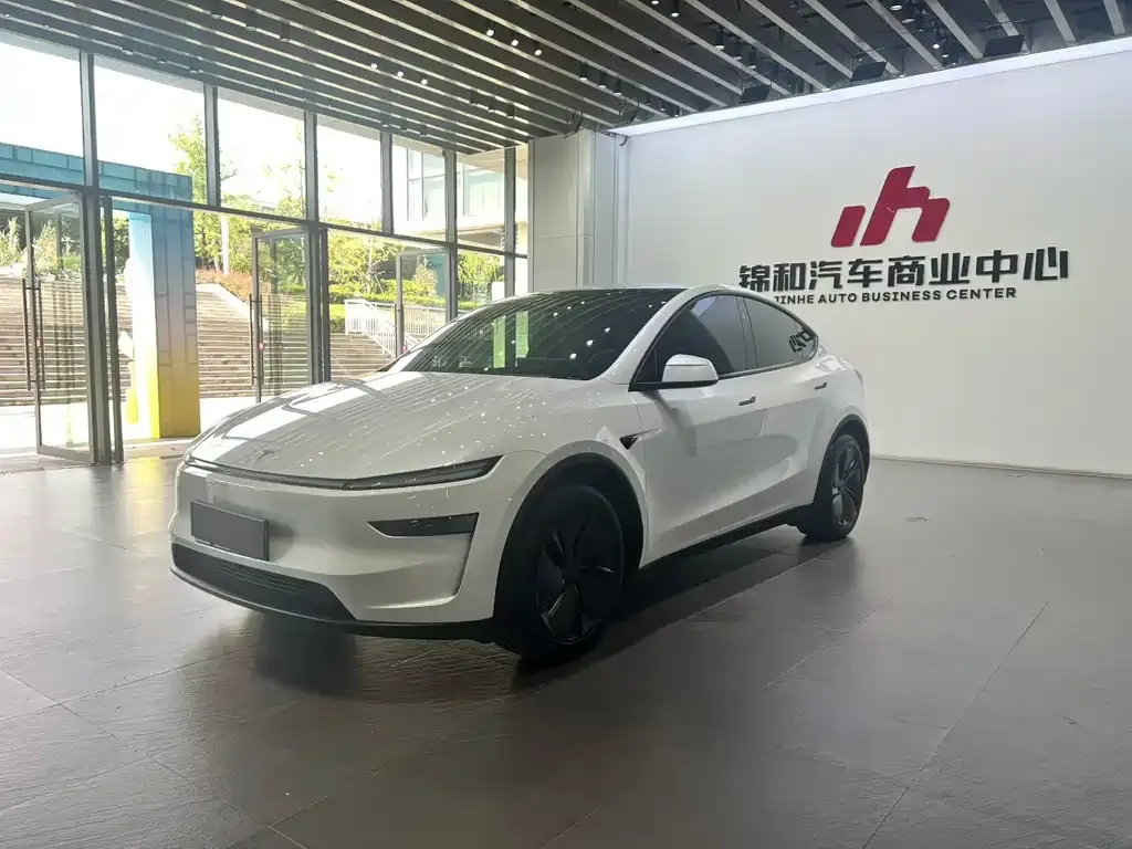 Tesla Model Y — фото 1