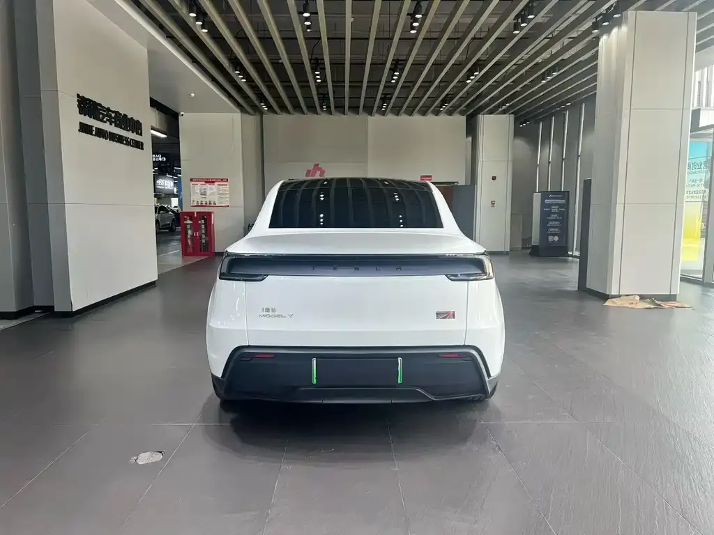 Tesla Model Y — фото 5