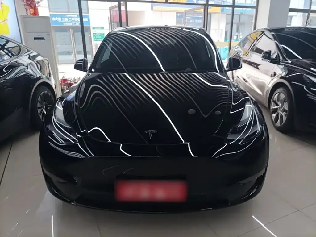 Tesla Model Y — фото 2