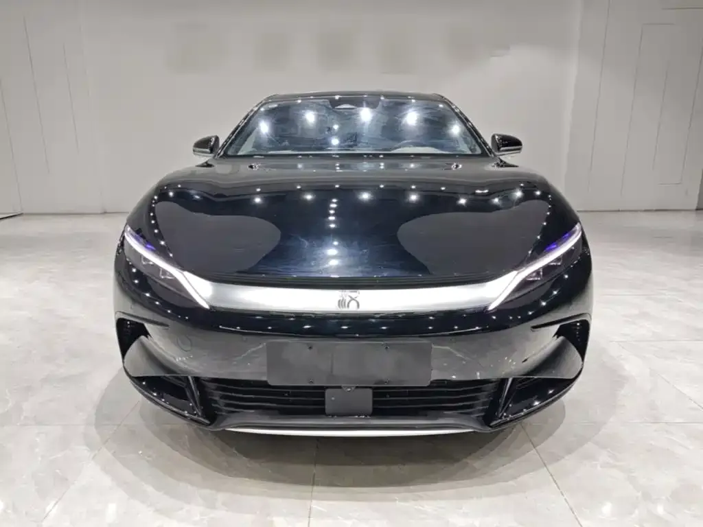 BYD Han — фото 10