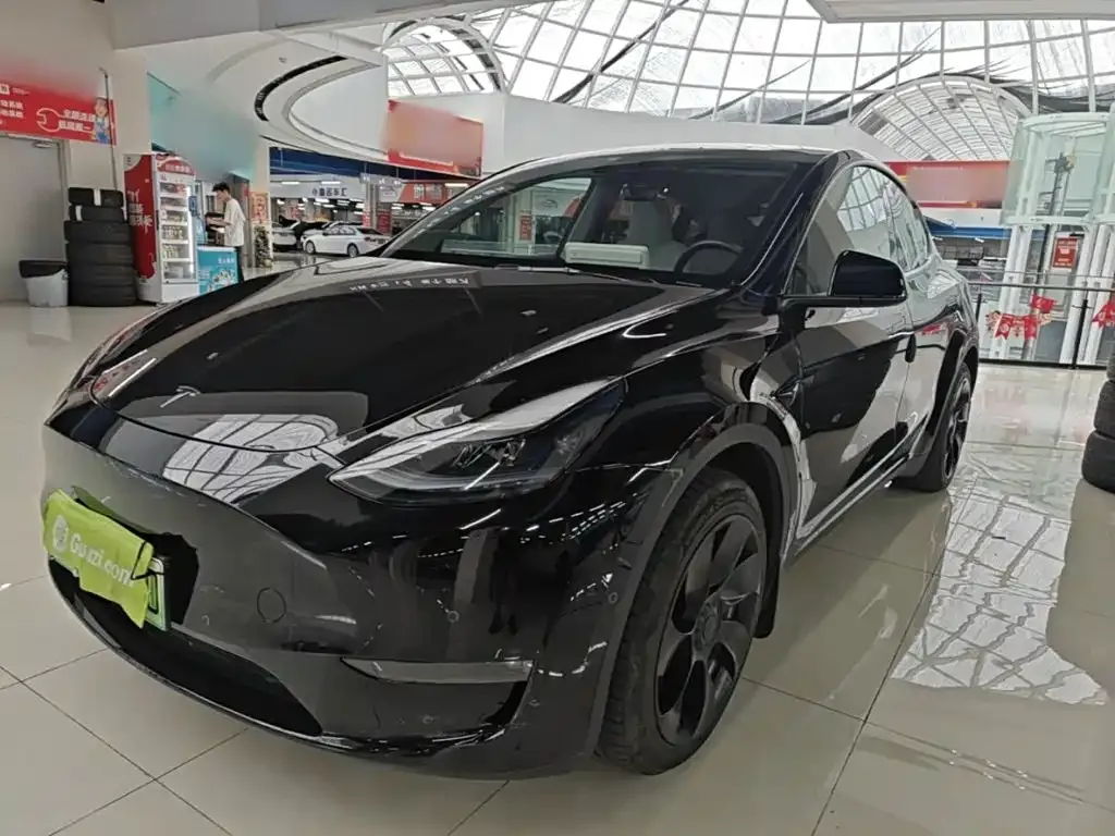 Tesla Model Y — фото 10