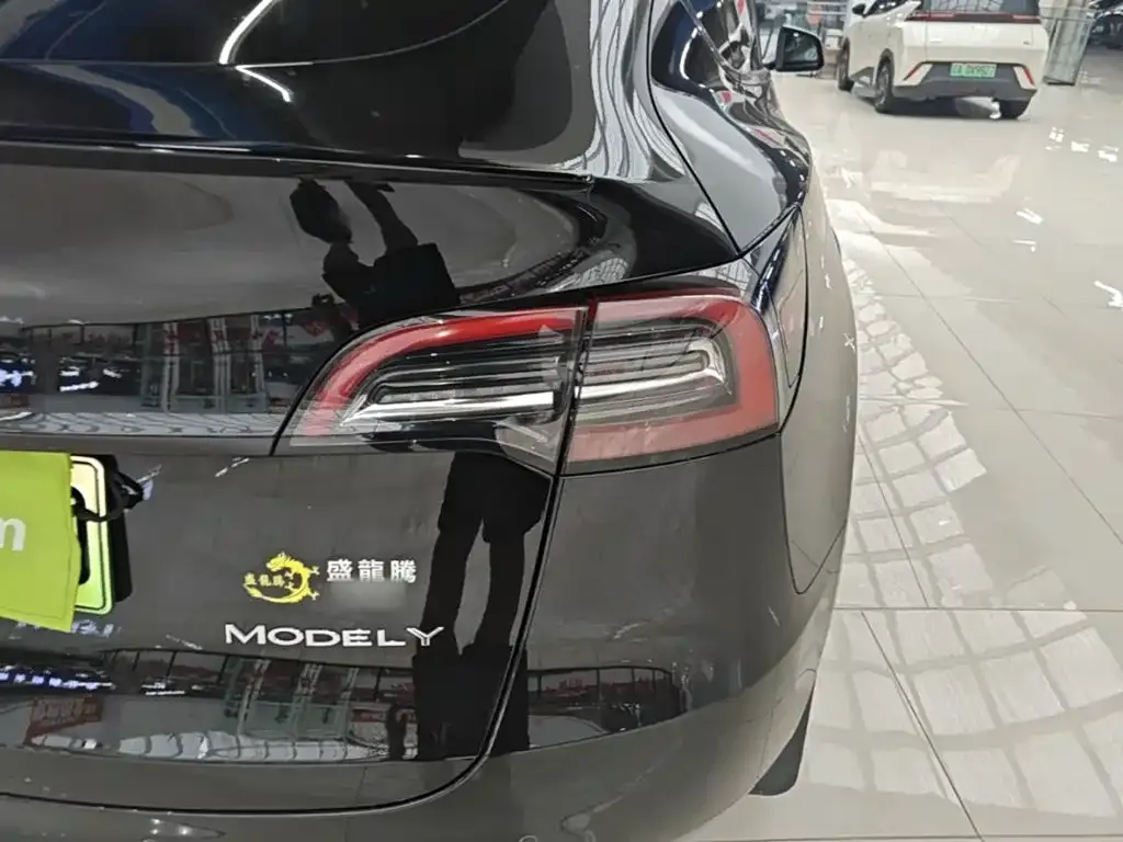 Tesla Model Y — фото 6