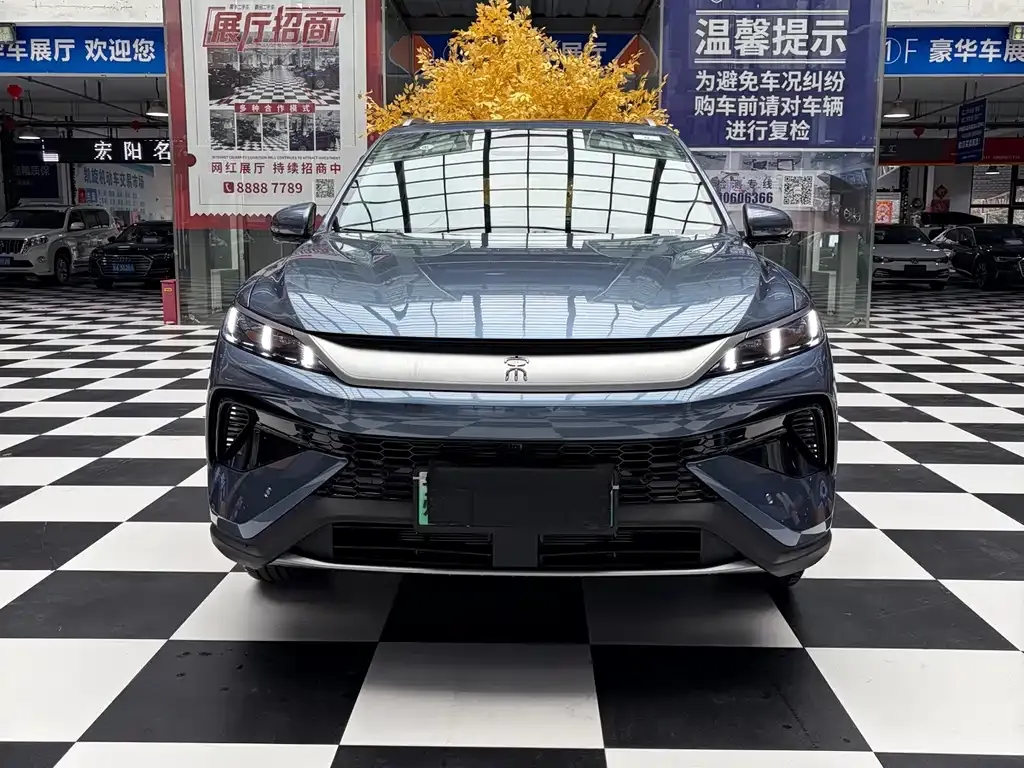 BYD Pro New Energy — фото 6