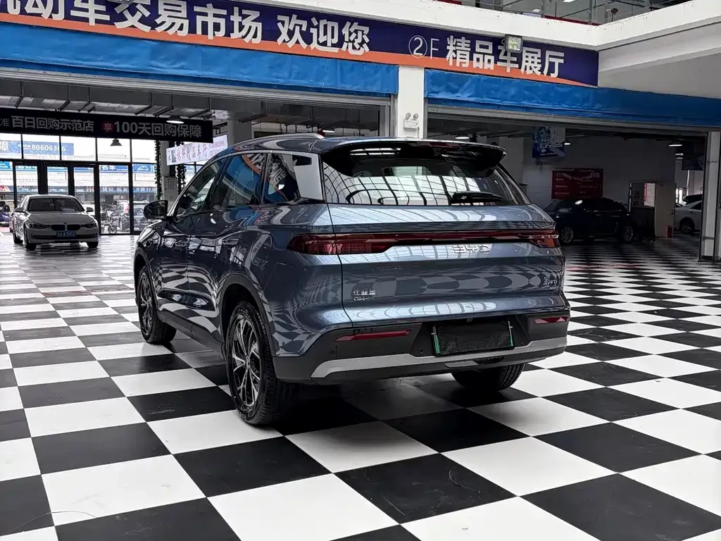 BYD Pro New Energy — фото 2