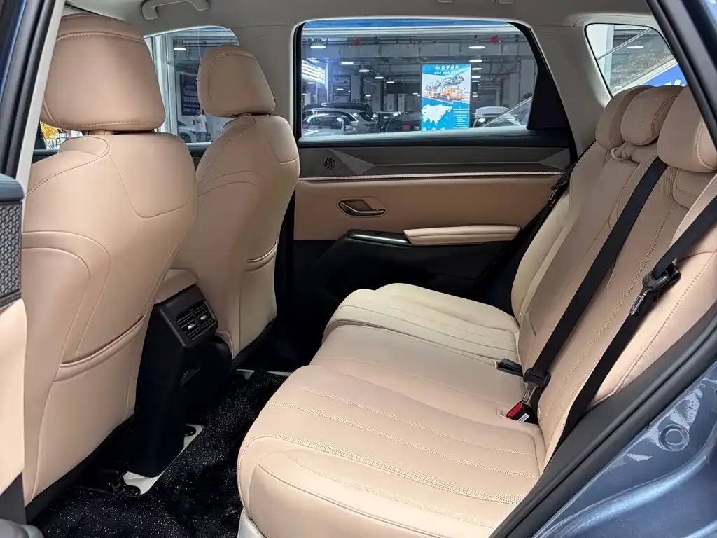 BYD Pro New Energy — фото 5