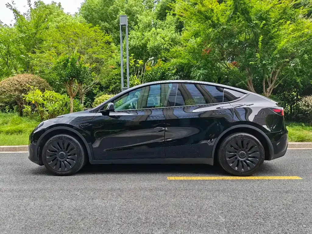 Tesla Model Y — фото 5