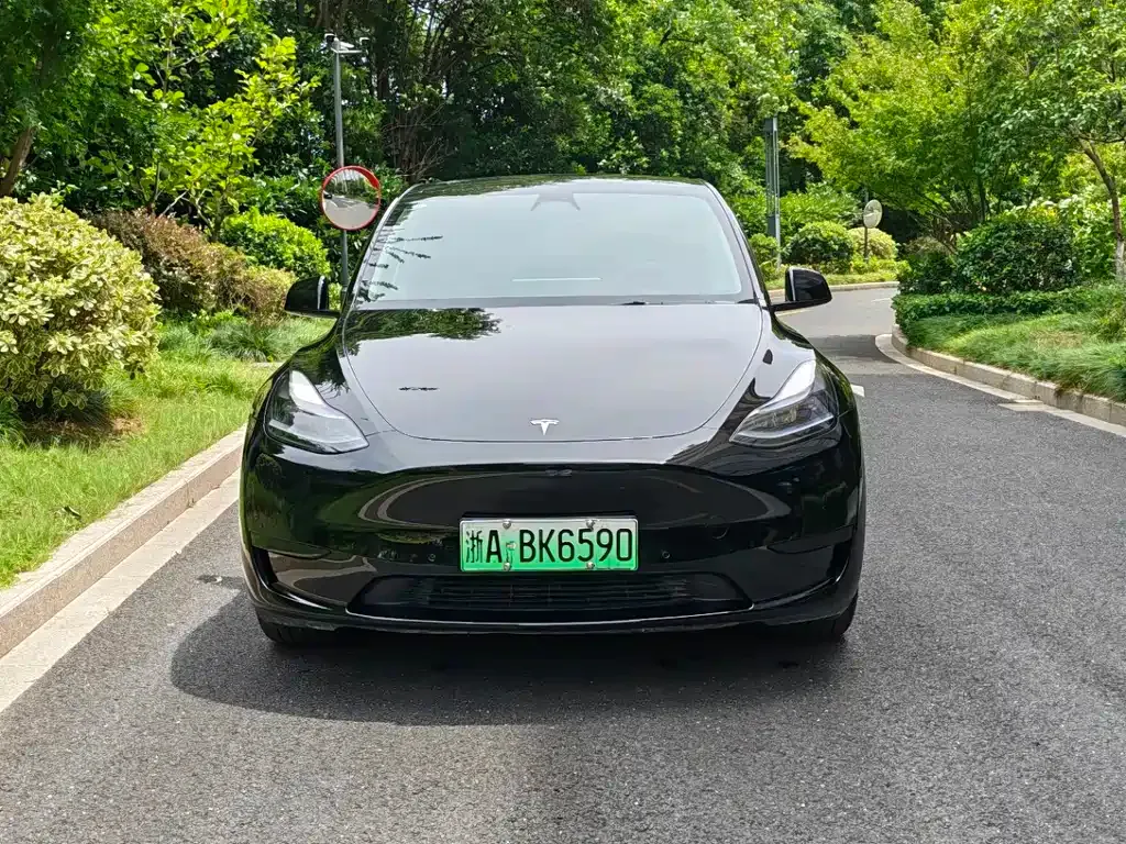Tesla Model Y — фото 10