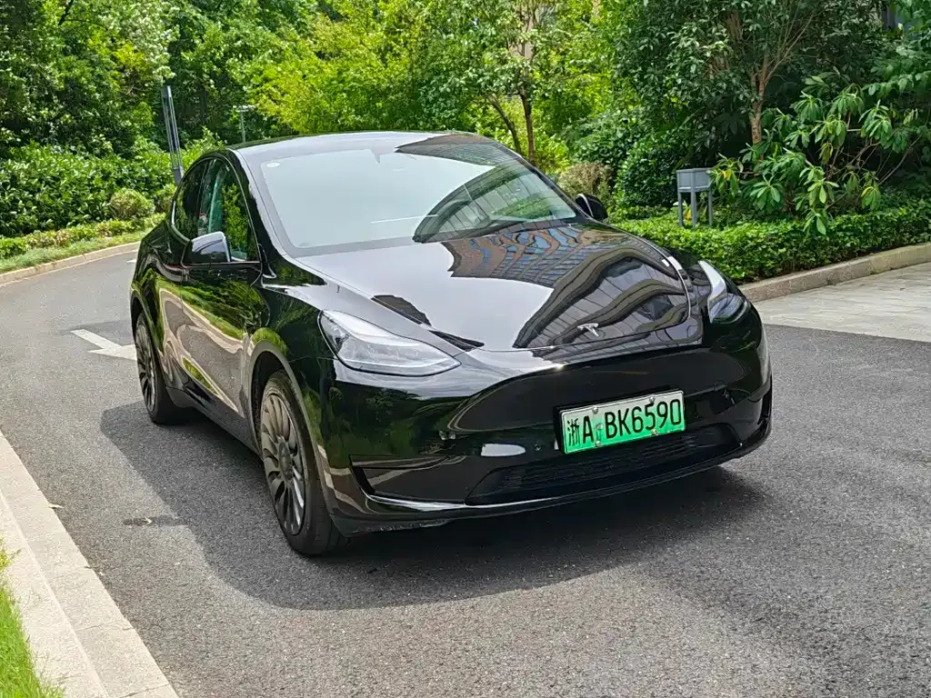 Tesla Model Y — фото 9