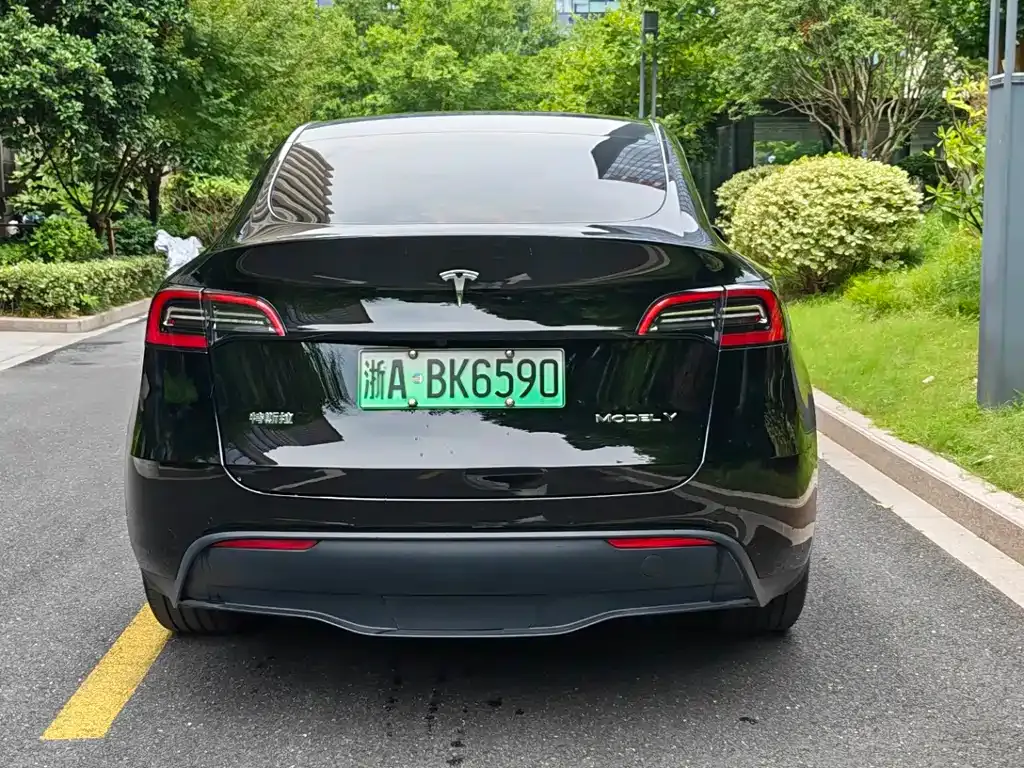 Tesla Model Y — фото 7