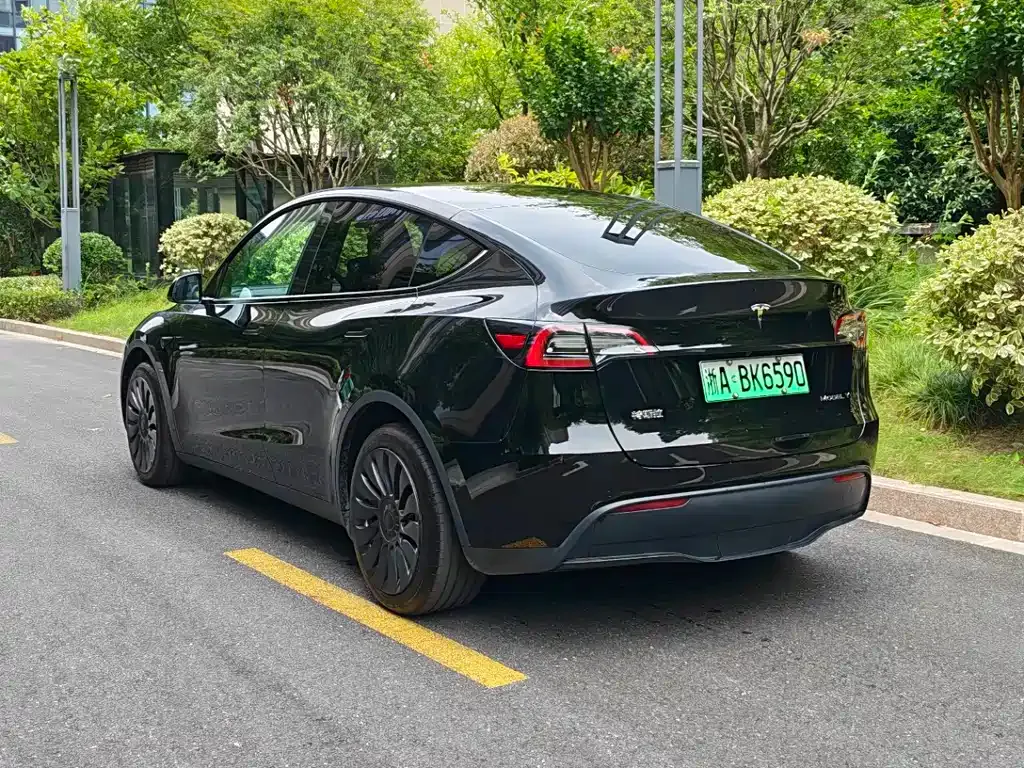 Tesla Model Y — фото 6