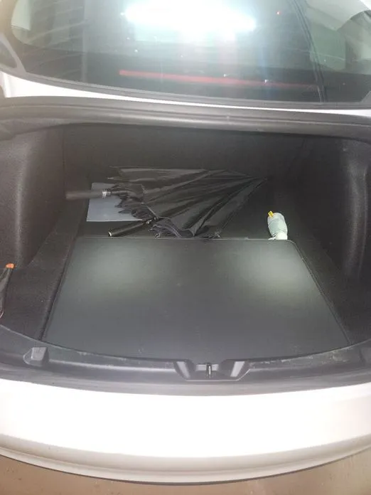 Tesla Model 3 — фото 2