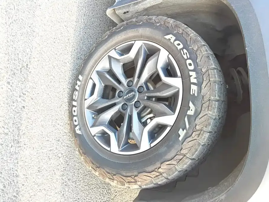 Haval Big Dog — фото 10