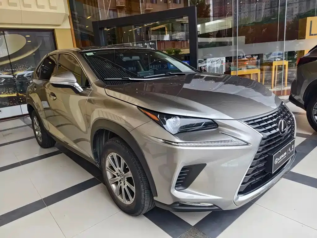 Lexus NX — фото 10