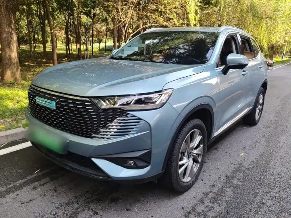 Haval H6 New Energy — фото 7