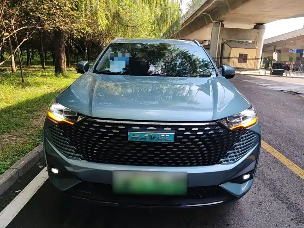 Haval H6 New Energy — фото 10