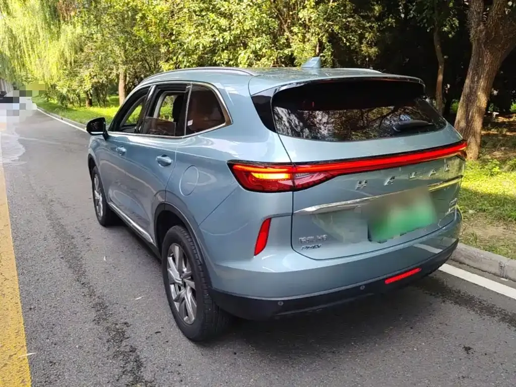 Haval H6 New Energy — фото 4